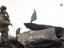 Украинские военные в Донбассе Украинские военные в Донбассе