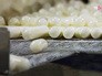 Производство медицинских препаратов Производство медицинских препаратов