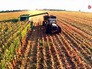 Сбор урожая на Украине Сбор урожая на Украине