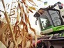 Сбор урожая на Украине Сбор урожая на Украине