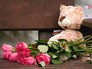 Цветы у места убийства Цветы у места убийства