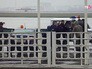 Место крушения пассажирского самолета Boeing-737-800 в аэропорту Ростова-на-Дону Место крушения пассажирского самолета Boeing-737-800 в аэропорту Ростова-на-Дону