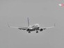 Boeing 737 авиакомпании Fly Dubai Boeing 737 авиакомпании Fly Dubai