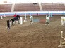 Турнир по конному спорту Турнир по конному спорту