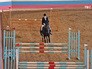 Турнир по конному спорту Турнир по конному спорту