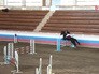 Турнир по конному спорту Турнир по конному спорту