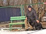 Игорь Семенов и слепая собака-поводырь Игорь Семенов и слепая собака-поводырь