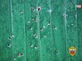 Следы от выстрела Следы от выстрела