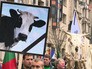 Акция протеста литовских фермеров Акция протеста литовских фермеров