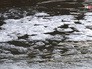 Загрязненная река Загрязненная река