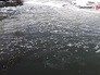 Загрязненная река Загрязненная река