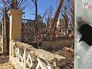 Последствия военных действий в Сирии Последствия военных действий в Сирии