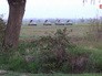 Военные действия в зоне карабахского конфликта Военные действия в зоне карабахского конфликта