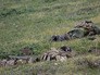 Тела солдат в зоне карабахского конфликта Тела солдат в зоне карабахского конфликта