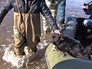 Спасатели МЧС в зоне паводка Спасатели МЧС в зоне паводка