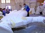 Подготовка к фестивалю "Московская весна" Подготовка к фестивалю "Московская весна"