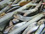 Рыбный комбинат Рыбный комбинат