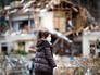 Последствия землетрясения в Японии Последствия землетрясения в Японии