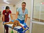 Ветеринары осматривают собаку Ветеринары осматривают собаку