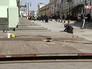 Установка веранды для уличного кафе Установка веранды для уличного кафе