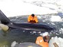 Сотрудники МЧС России проводят операцию по спасению косаток в Охотском море Сотрудники МЧС России проводят операцию по спасению косаток в Охотском море
