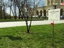 Табличка с надписью "Сквер Антуана де Сент-Экзюпери" Табличка с надписью "Сквер Антуана де Сент-Экзюпери"