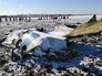 На месте крушения пассажирского самолета Boeing-737-800 На месте крушения пассажирского самолета Boeing-737-800