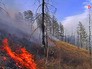 Лесные пожары Лесные пожары