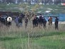 Полиция на месте убийства экс-главы МВД Сызрани и его семьи Полиция на месте убийства экс-главы МВД Сызрани и его семьи