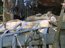 Гуманитарная помощь для жителей Сирии Гуманитарная помощь для жителей Сирии