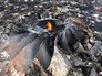 Место крушения малайзийского Boeing 777 на Украине Место крушения малайзийского Boeing 777 на Украине