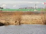 Последствия сброса нечистот с фермы Последствия сброса нечистот с фермы