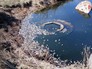 Последствия сброса нечистот с фермы Последствия сброса нечистот с фермы