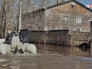 Весенние паводки Весенние паводки