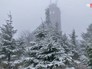 Последствия снегопада в Европе Последствия снегопада в Европе