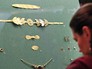 Выставка "Греческое золото. Сокровища эллинов и варваров в Историческом музее" Выставка "Греческое золото. Сокровища эллинов и варваров в Историческом музее"