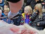 В европейском зоопарке прилюдно расчленяют животное В европейском зоопарке прилюдно расчленяют животное