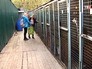Собачий приют Собачий приют