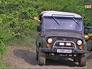Сафари в Крыму Сафари в Крыму