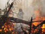 Сотрудник пожарной службы во время тушения лесного пожара Сотрудник пожарной службы во время тушения лесного пожара
