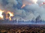 Лесной пожар Лесной пожар