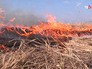 Степной пожар Степной пожар