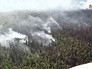 Лесные пожары Лесные пожары