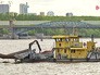 Сбор мусора на Москве-реке Сбор мусора на Москве-реке