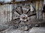 Проходческий щит Проходческий щит