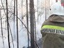 Тушение лесных пожаров Тушение лесных пожаров