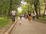 Аллея бульвара Аллея бульвара