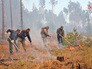 Борьба с лесными пожарами Борьба с лесными пожарами