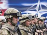 Взаимодействие армии Грузии и сил НАТО Взаимодействие армии Грузии и сил НАТО