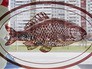 Рыбный магазин Рыбный магазин
